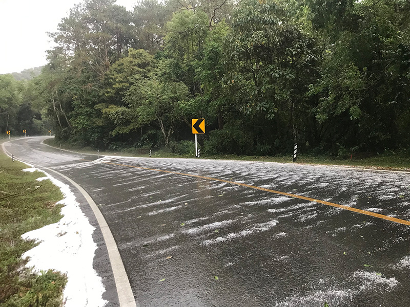 เปิดภาพลูกเห็บตกดอยอ่างขาง เปิดภาพลูกเห็บตกดอยอ่างขาง