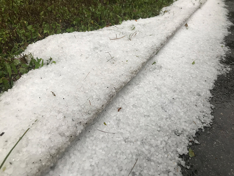 เปิดภาพลูกเห็บตกดอยอ่างขาง เปิดภาพลูกเห็บตกดอยอ่างขาง