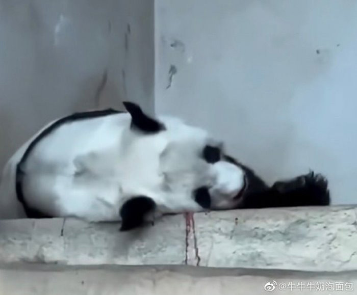 ผลชันสูตร หลินฮุ่ย ชัดแล้ว ผลชันสูตร หลินฮุ่ย ชัดแล้ว