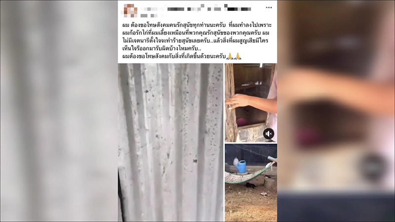 หนุ่มเดือด ฟาดหัวหมาหลังกัดไก่ตายยกเล้า 200 ตัว ฝากถึงคณะทัวร์ ผมก็รักไก่ผม หนุ่มเดือด ฟาดหัวหมาหลังกัดไก่ตายยกเล้า 200 ตัว ฝากถึงคณะทัวร์ ผมก็รักไก่ผม