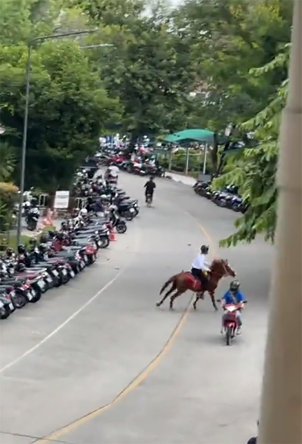 นักศึกษาหนุ่มสุดตึง ควบม้าไปเรียน รุ่นนี้ประหยัดน้ำมัน นักศึกษาหนุ่มสุดตึง ควบม้าไปเรียน รุ่นนี้ประหยัดน้ำมัน