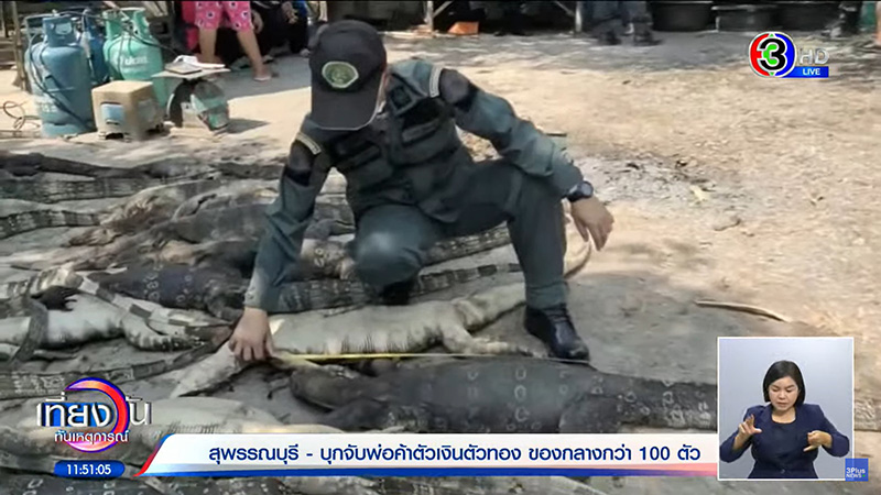 พี่หนุ่ม กินโชว์เน้น ๆ ลูกชิ้นปลา พี่หนุ่ม กินโชว์เน้น ๆ ลูกชิ้นปลา