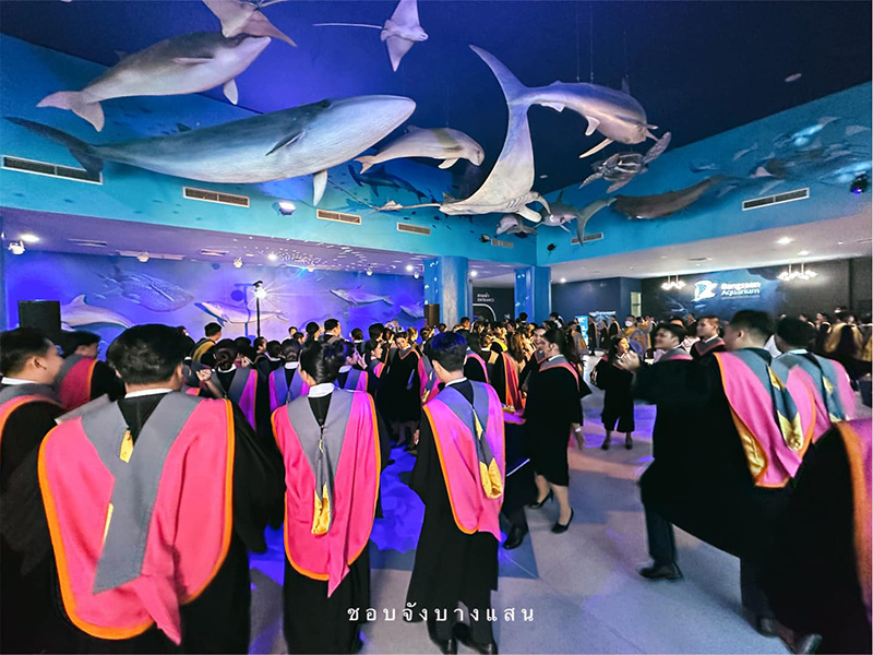 ม บูรพา รับปริญญาในอควาเรียม มีเงือกโชว์ ปลานับร้อยเป็นพยาน ม บูรพา รับปริญญาในอควาเรียม มีเงือกโชว์ ปลานับร้อยเป็นพยาน