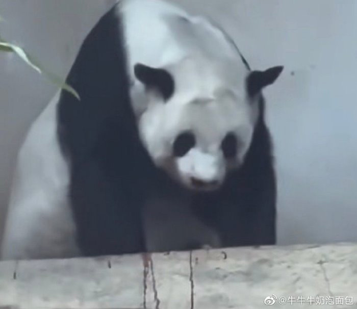 ผลชันสูตร หลินฮุ่ย ชัดแล้ว ผลชันสูตร หลินฮุ่ย ชัดแล้ว