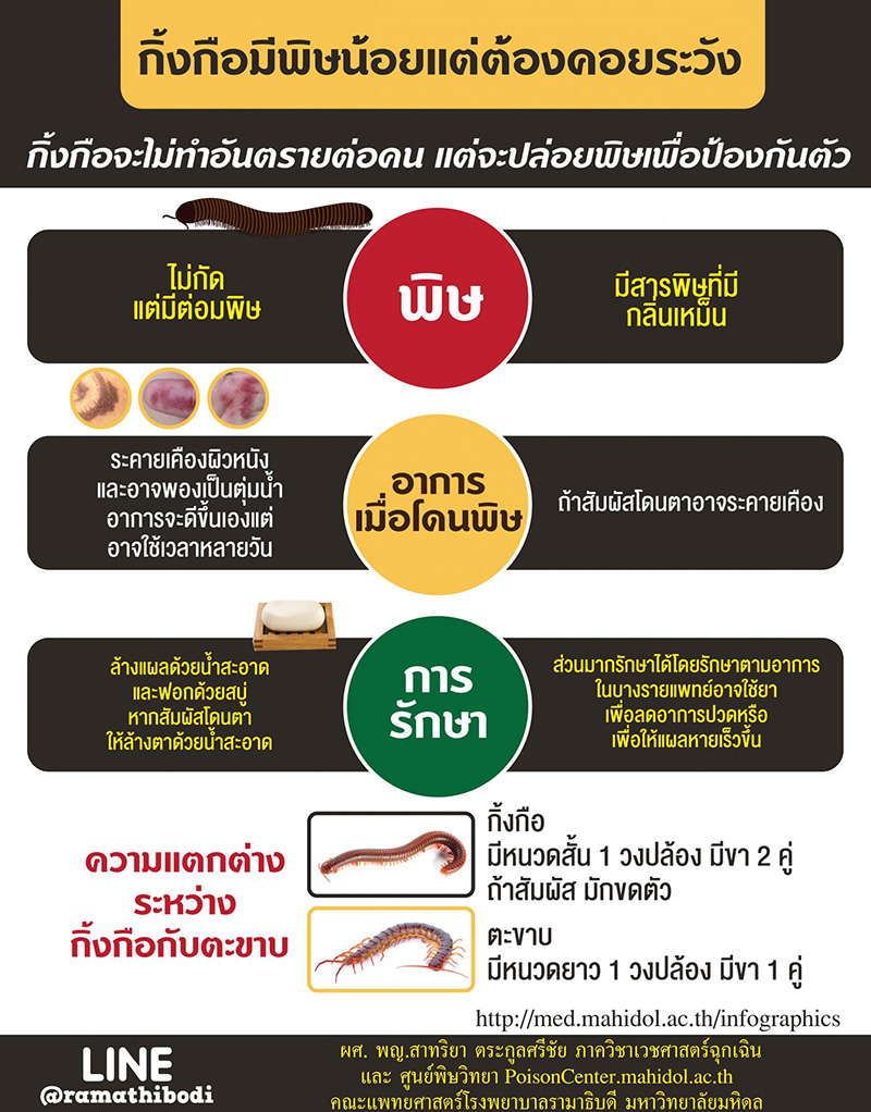 โดนพิษกิ้งกือที่นิ้วเท้า แผลใหญ่มาก น้องไม่กัด แต่พิษร้ายไม่เบา โดนพิษกิ้งกือที่นิ้วเท้า แผลใหญ่มาก น้องไม่กัด แต่พิษร้ายไม่เบา