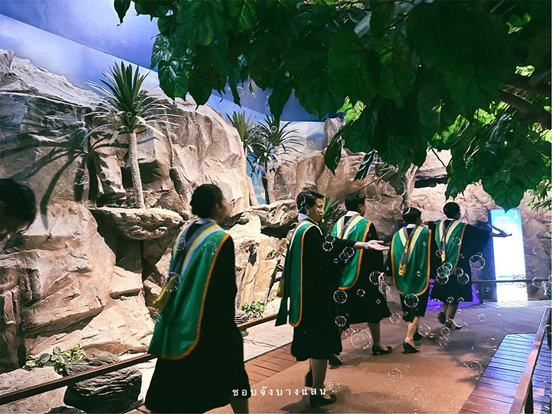 ม บูรพา รับปริญญาในอควาเรียม มีเงือกโชว์ ปลานับร้อยเป็นพยาน ม บูรพา รับปริญญาในอควาเรียม มีเงือกโชว์ ปลานับร้อยเป็นพยาน