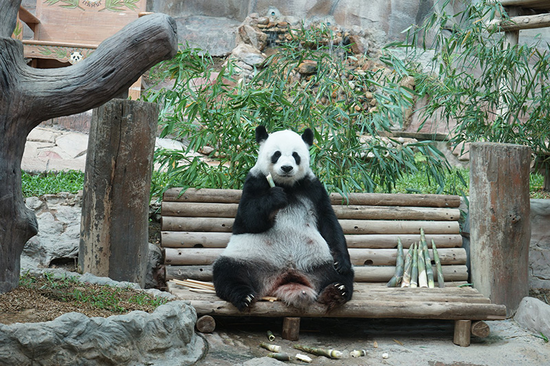 หมอยังช็อก หลินฮุ่ย ตายไม่รู้สาเหตุ แต่พบสิ่งผิดปกติ หมอยังช็อก หลินฮุ่ย ตายไม่รู้สาเหตุ แต่พบสิ่งผิดปกติ