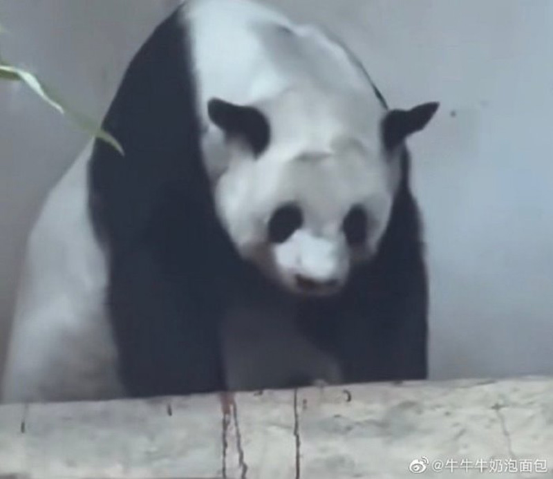 หมอยังช็อก หลินฮุ่ย ตายไม่รู้สาเหตุ แต่พบสิ่งผิดปกติ หมอยังช็อก หลินฮุ่ย ตายไม่รู้สาเหตุ แต่พบสิ่งผิดปกติ