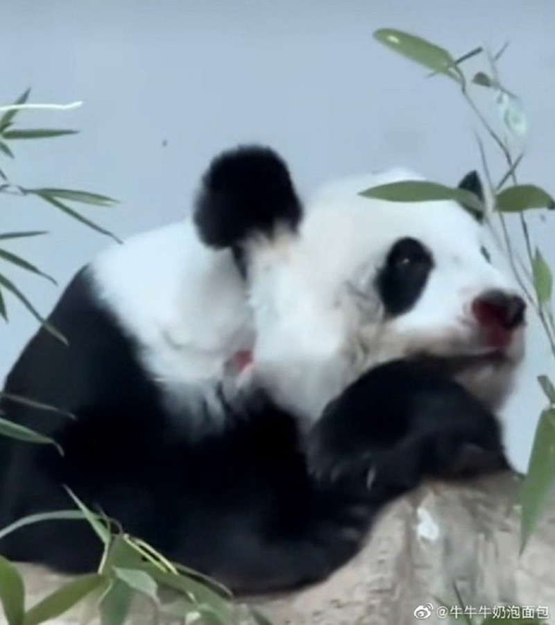 หมอยังช็อก หลินฮุ่ย ตายไม่รู้สาเหตุ แต่พบสิ่งผิดปกติ หมอยังช็อก หลินฮุ่ย ตายไม่รู้สาเหตุ แต่พบสิ่งผิดปกติ