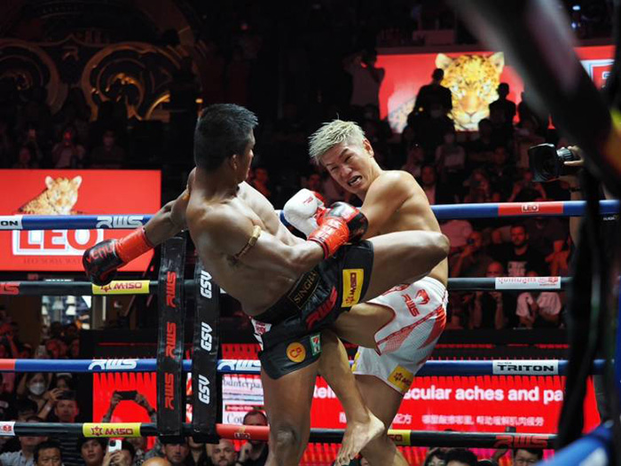 บัวขาว บัวขาว