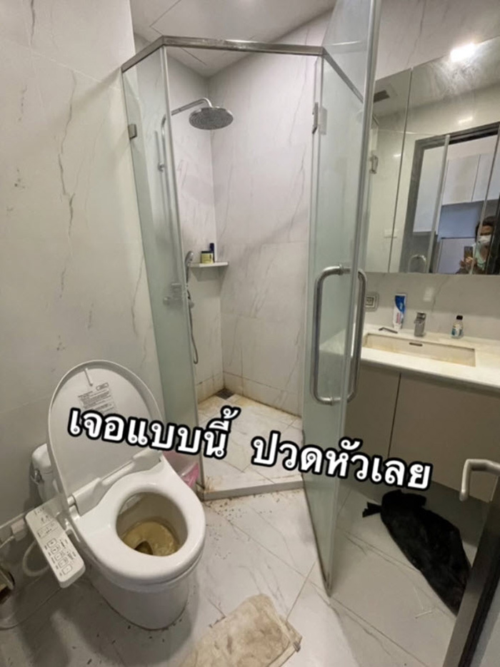 คอนโดหรูห้องเละ คอนโดหรูห้องเละ