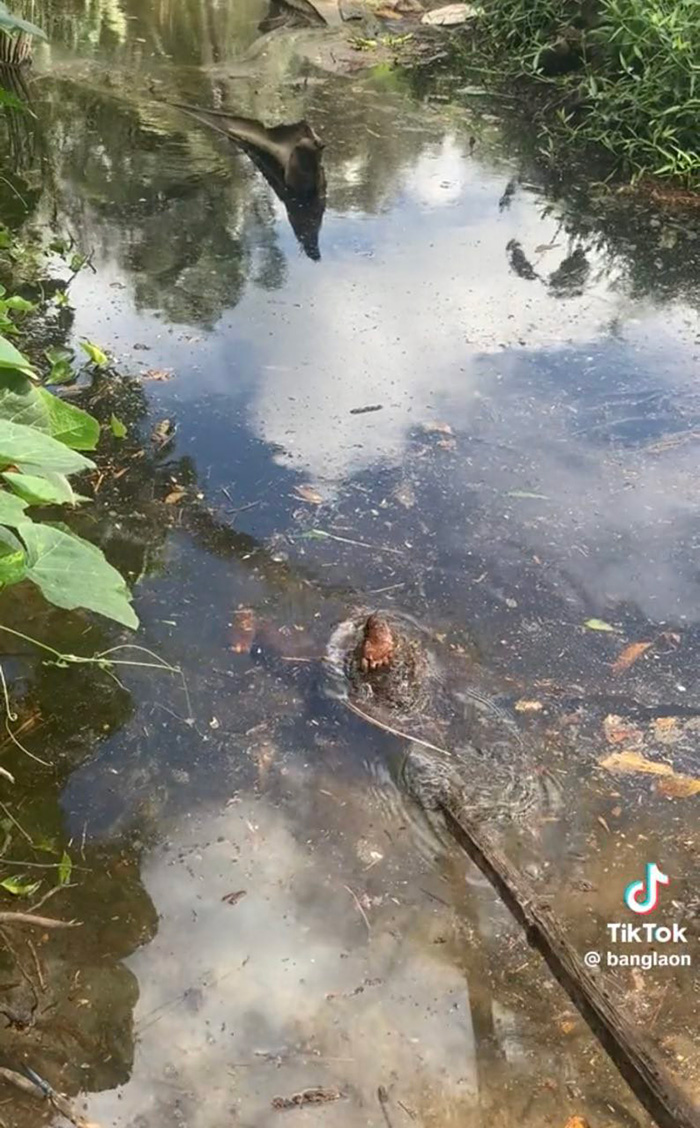 ขาเด็กปริศนาโผล่เหนือน้ำ ขาเด็กปริศนาโผล่เหนือน้ำ