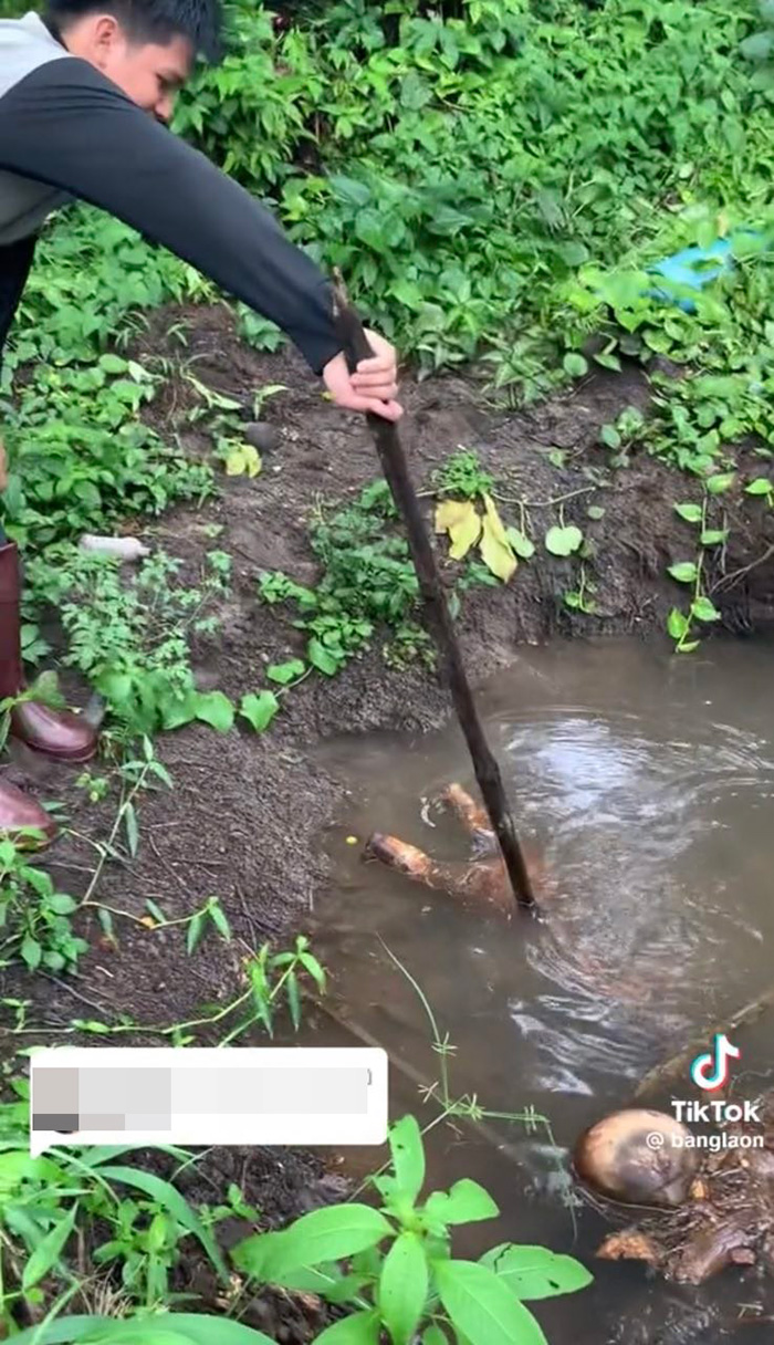 ขาเด็กปริศนาโผล่เหนือน้ำ ขาเด็กปริศนาโผล่เหนือน้ำ