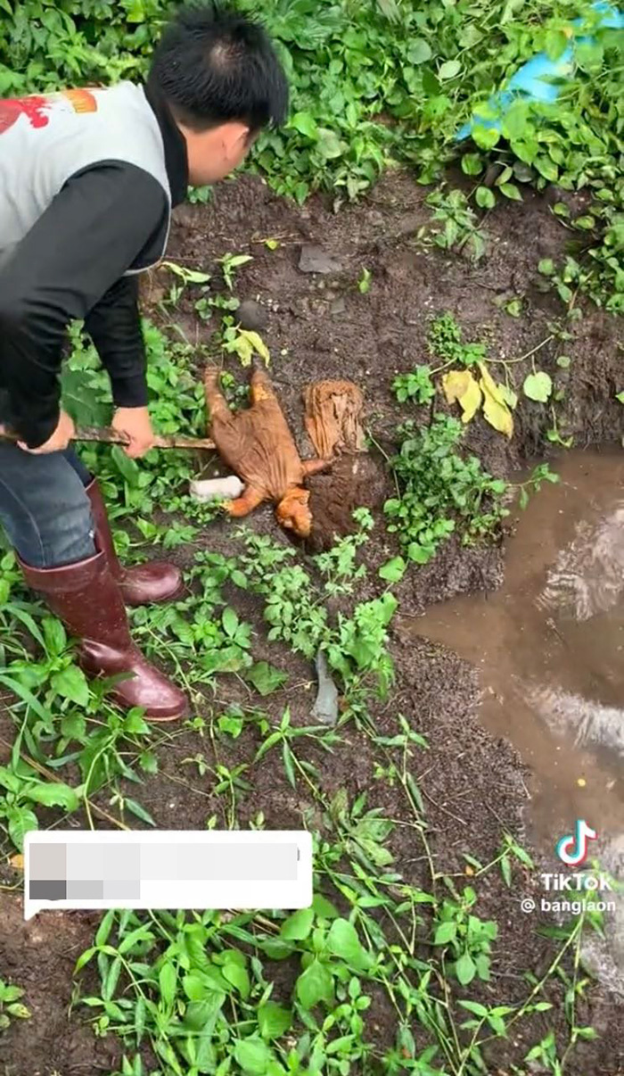 ขาเด็กปริศนาโผล่เหนือน้ำ ขาเด็กปริศนาโผล่เหนือน้ำ