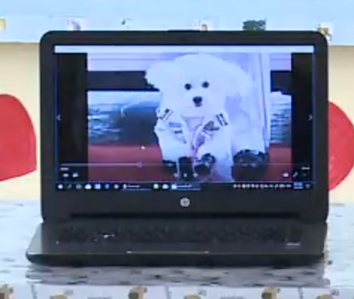 ฟูฟู ฟูฟู