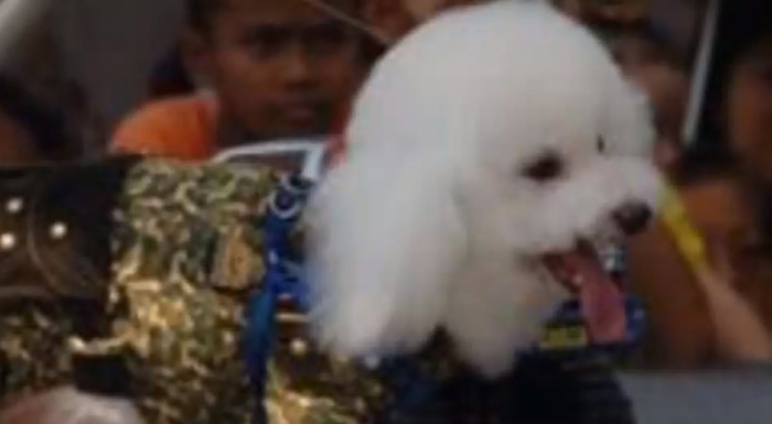 ฟูฟู ฟูฟู