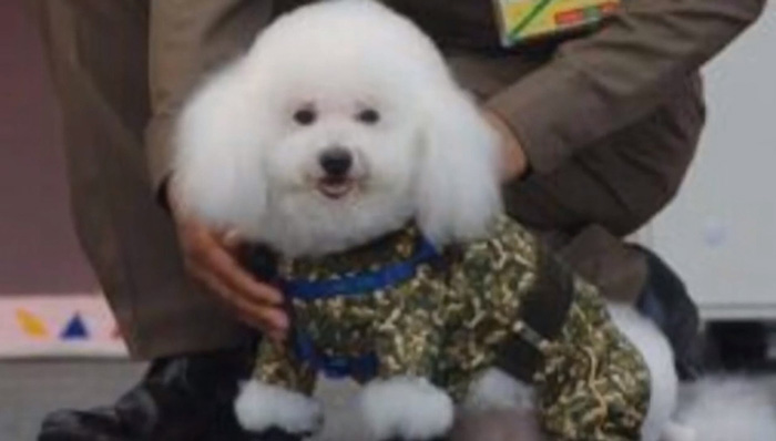 ฟูฟู ฟูฟู