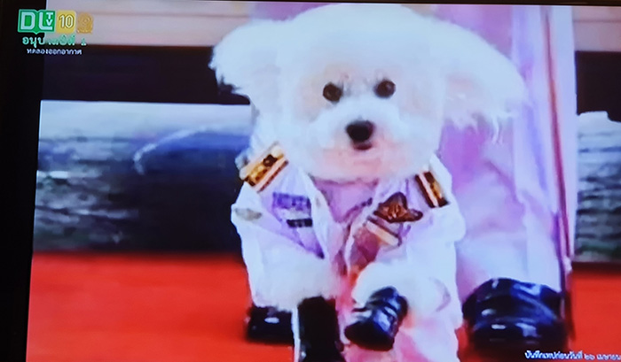 ฟูฟู ฟูฟู