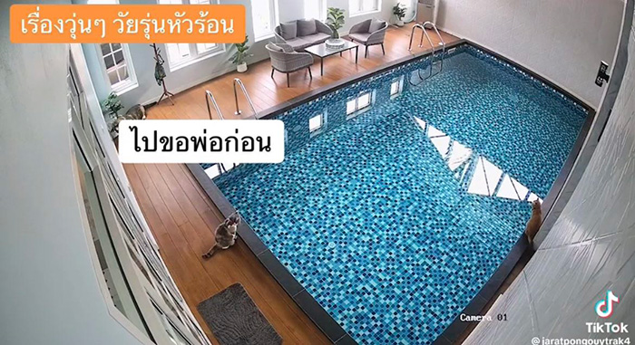 ไวรัลตัวตึงแมวส้ม โดดลงสระก่อนรีบวิ่งเข้าบ้าน ไวรัลตัวตึงแมวส้ม โดดลงสระก่อนรีบวิ่งเข้าบ้าน