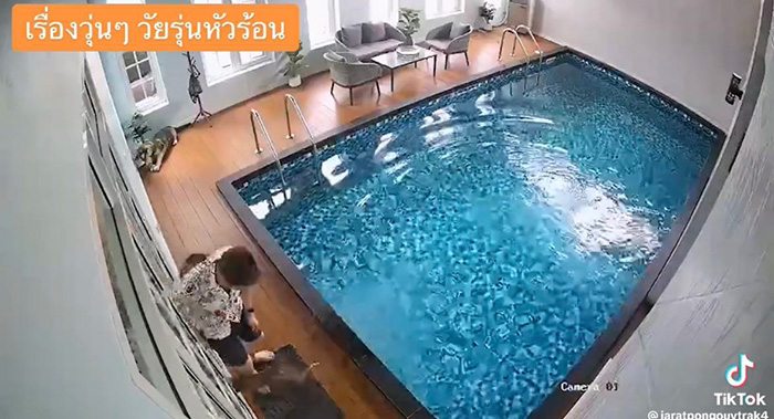 ไวรัลตัวตึงแมวส้ม โดดลงสระก่อนรีบวิ่งเข้าบ้าน ไวรัลตัวตึงแมวส้ม โดดลงสระก่อนรีบวิ่งเข้าบ้าน