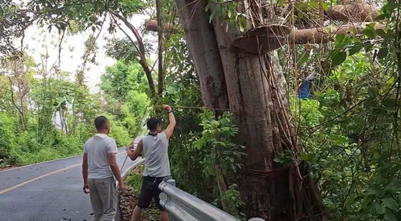 ไวรัลเห็ดพ่นควัน ใครสูดเข้าไปหาหมอด่วน ชาวเน็ตขนลุกระวังเป็นแบบ The Last of Us ไวรัลเห็ดพ่นควัน ใครสูดเข้าไปหาหมอด่วน ชาวเน็ตขนลุกระวังเป็นแบบ The Last of Us