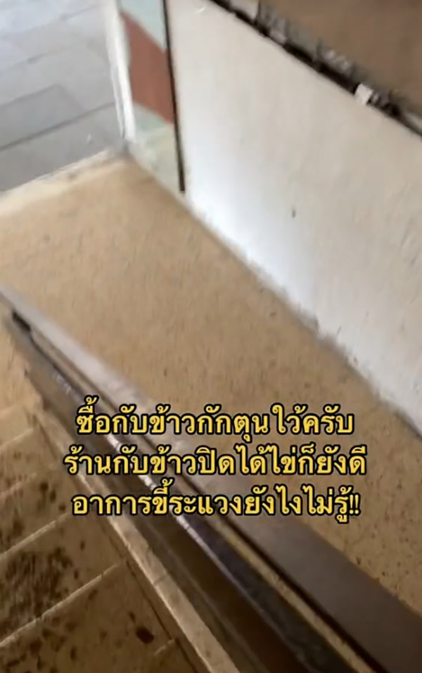 แรงงานไทยในอิสราเอล แรงงานไทยในอิสราเอล