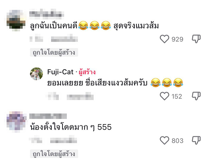 คอมเมนต์ คอมเมนต์
