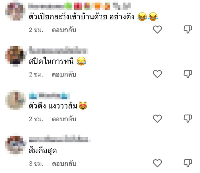 คอมเมนต์ คอมเมนต์