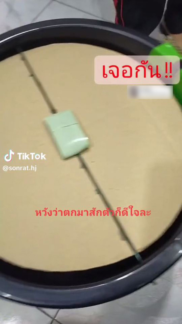 DIY ถังกับดักหนู หวังตกมาสักตัว DIY ถังกับดักหนู หวังตกมาสักตัว