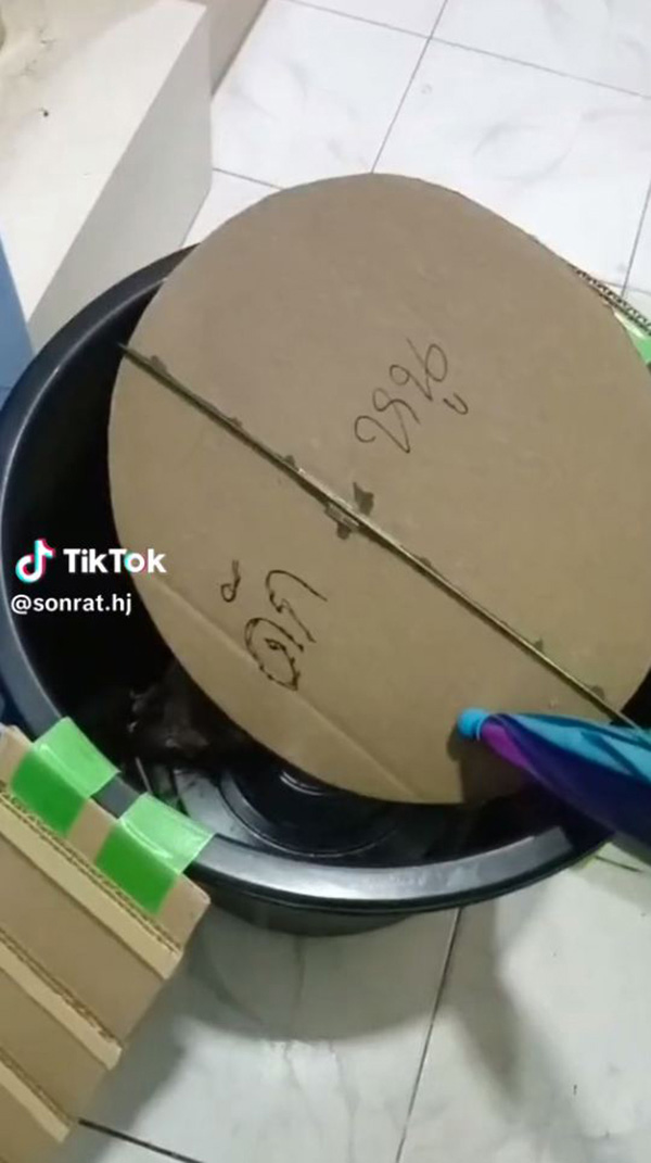 DIY ถังกับดักหนู หวังตกมาสักตัว DIY ถังกับดักหนู หวังตกมาสักตัว