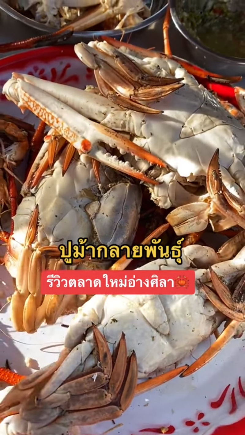 สาวรีวิวซื้อปูม้า เลือกตัวเมียไข่แน่น ๆ ฝากร้านไว้ สาวรีวิวซื้อปูม้า เลือกตัวเมียไข่แน่น ๆ ฝากร้านไว้