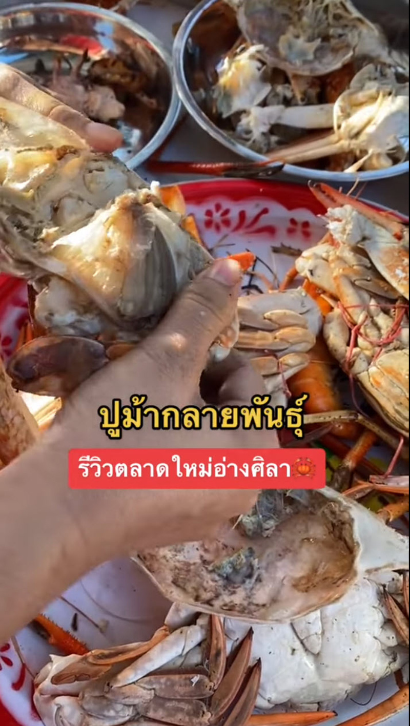 สาวรีวิวซื้อปูม้า เลือกตัวเมียไข่แน่น ๆ ฝากร้านไว้ สาวรีวิวซื้อปูม้า เลือกตัวเมียไข่แน่น ๆ ฝากร้านไว้
