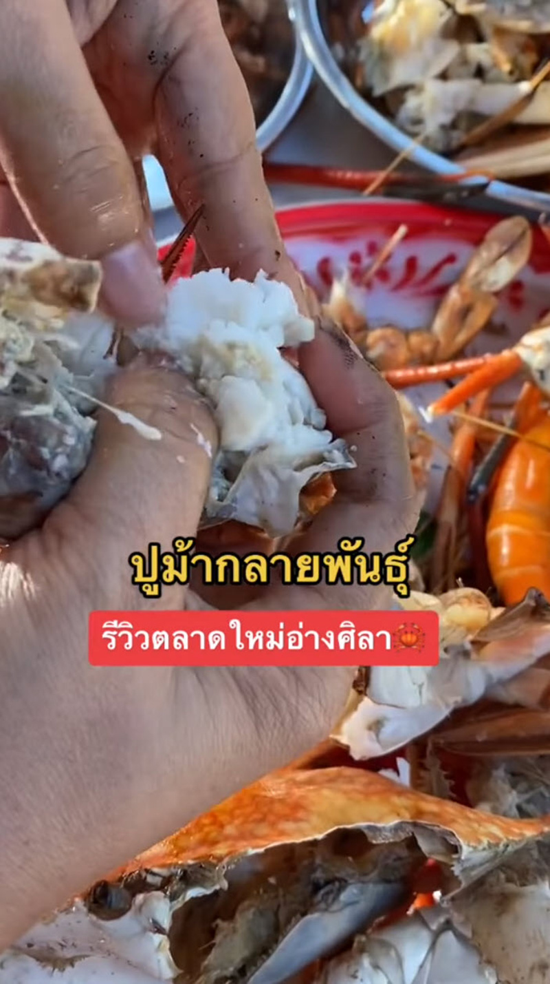 สาวรีวิวซื้อปูม้า เลือกตัวเมียไข่แน่น ๆ ฝากร้านไว้ สาวรีวิวซื้อปูม้า เลือกตัวเมียไข่แน่น ๆ ฝากร้านไว้