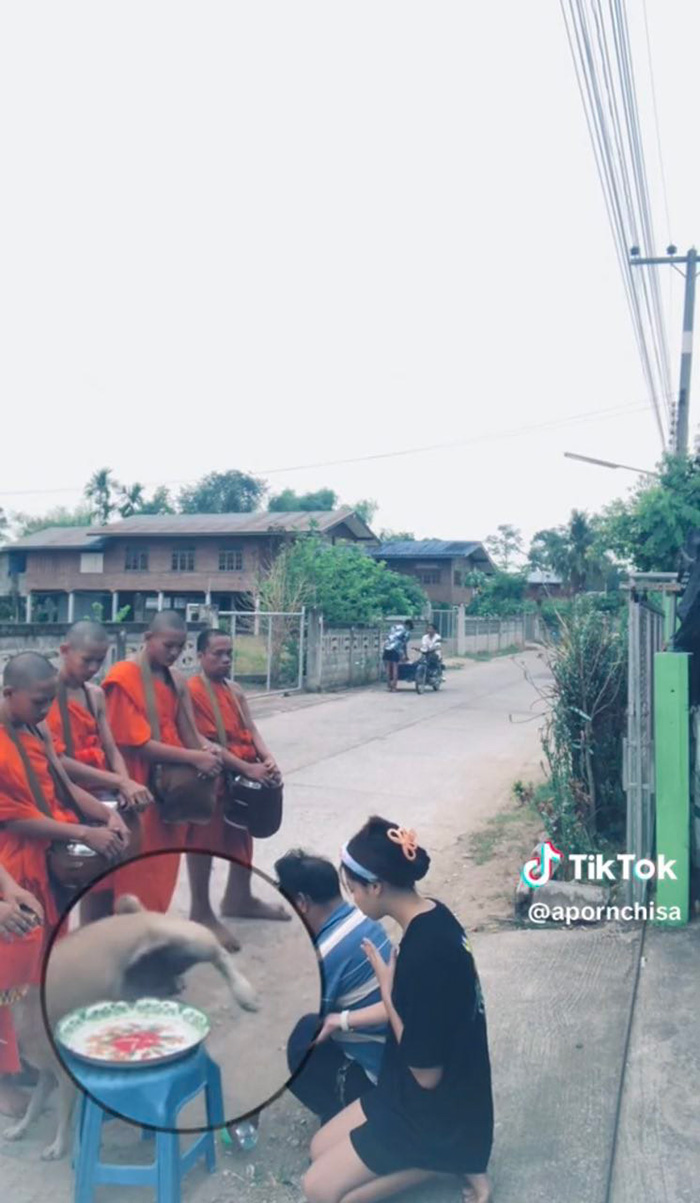 เมื่อพ่อกำลัง กรวดน้ำ เจอหมาแสบทำแบบนี้ บทสวดถึงกับสะดุด พระยังขำ เมื่อพ่อกำลัง กรวดน้ำ เจอหมาแสบทำแบบนี้ บทสวดถึงกับสะดุด พระยังขำ