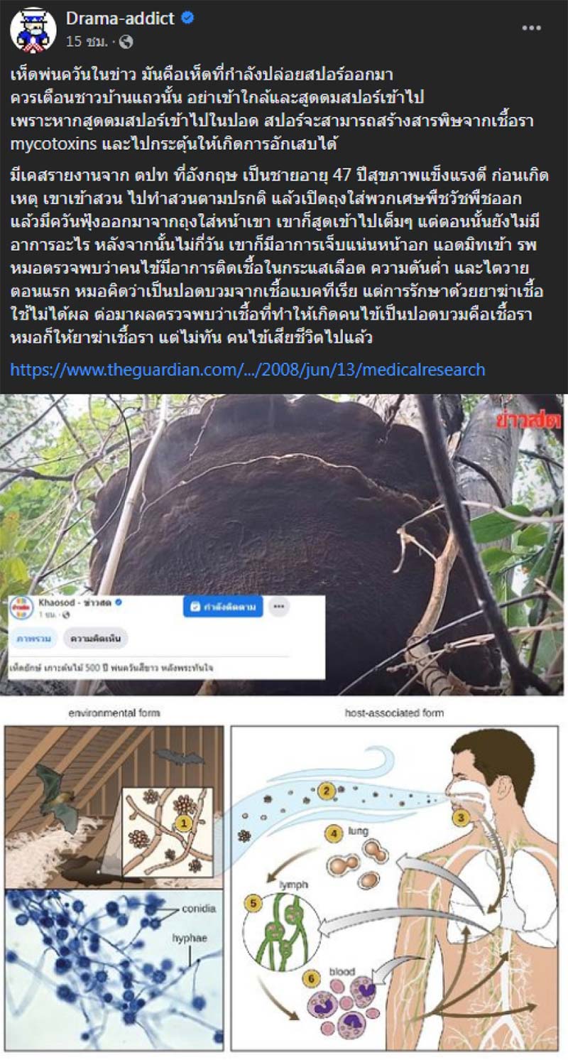 ไวรัลเห็ดพ่นควัน ใครสูดเข้าไปหาหมอด่วน ชาวเน็ตขนลุกระวังเป็นแบบ The Last of Us ไวรัลเห็ดพ่นควัน ใครสูดเข้าไปหาหมอด่วน ชาวเน็ตขนลุกระวังเป็นแบบ The Last of Us
