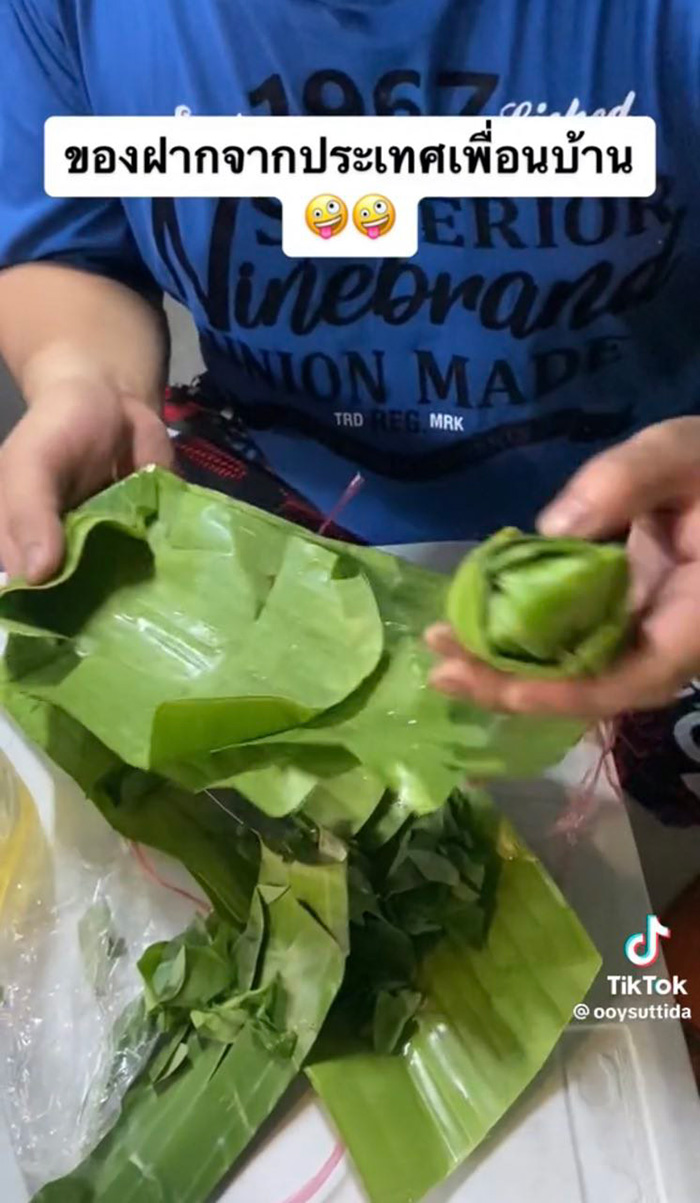 รีวิวแหนมลาว ห่อใบตองก้อนใหญ่เท่ากำปั้น รีวิวแหนมลาว ห่อใบตองก้อนใหญ่เท่ากำปั้น