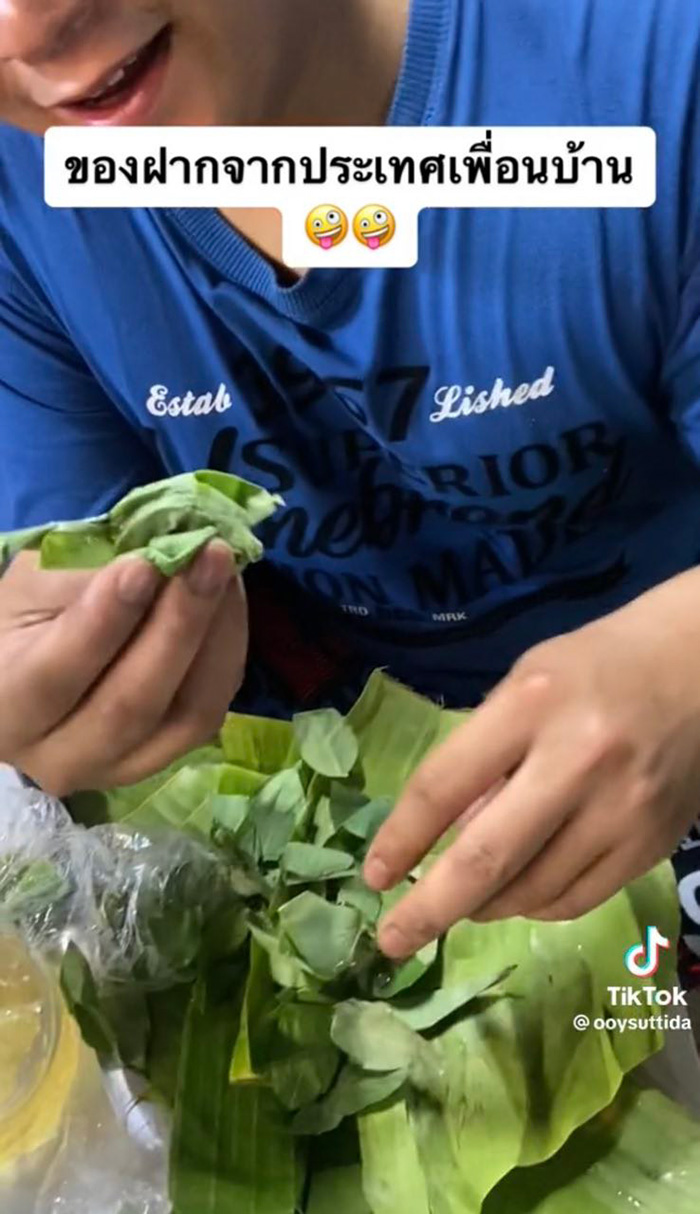 รีวิวแหนมลาว ห่อใบตองก้อนใหญ่เท่ากำปั้น รีวิวแหนมลาว ห่อใบตองก้อนใหญ่เท่ากำปั้น