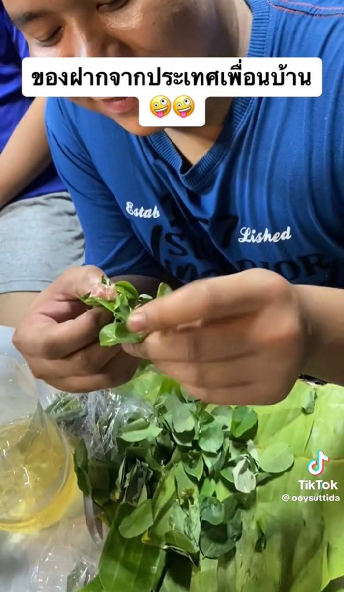 รีวิวแหนมลาว ห่อใบตองก้อนใหญ่เท่ากำปั้น รีวิวแหนมลาว ห่อใบตองก้อนใหญ่เท่ากำปั้น