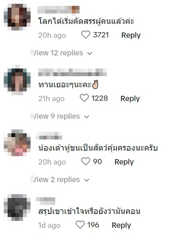 คอมเมนต์ คอมเมนต์
