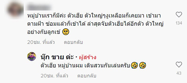 คอมเมนต์ คอมเมนต์