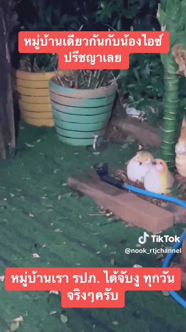 หมู่บ้าน ไอซ์ ปรีชญา งูเยอะจริงไม่จกตา หมู่บ้าน ไอซ์ ปรีชญา งูเยอะจริงไม่จกตา