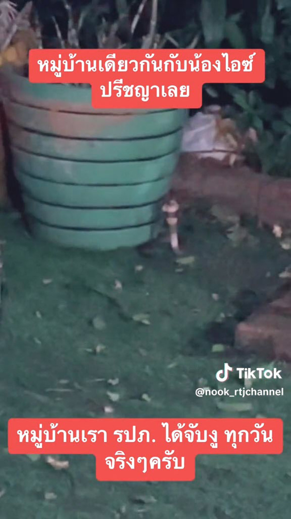 หมู่บ้าน ไอซ์ ปรีชญา งูเยอะจริงไม่จกตา หมู่บ้าน ไอซ์ ปรีชญา งูเยอะจริงไม่จกตา