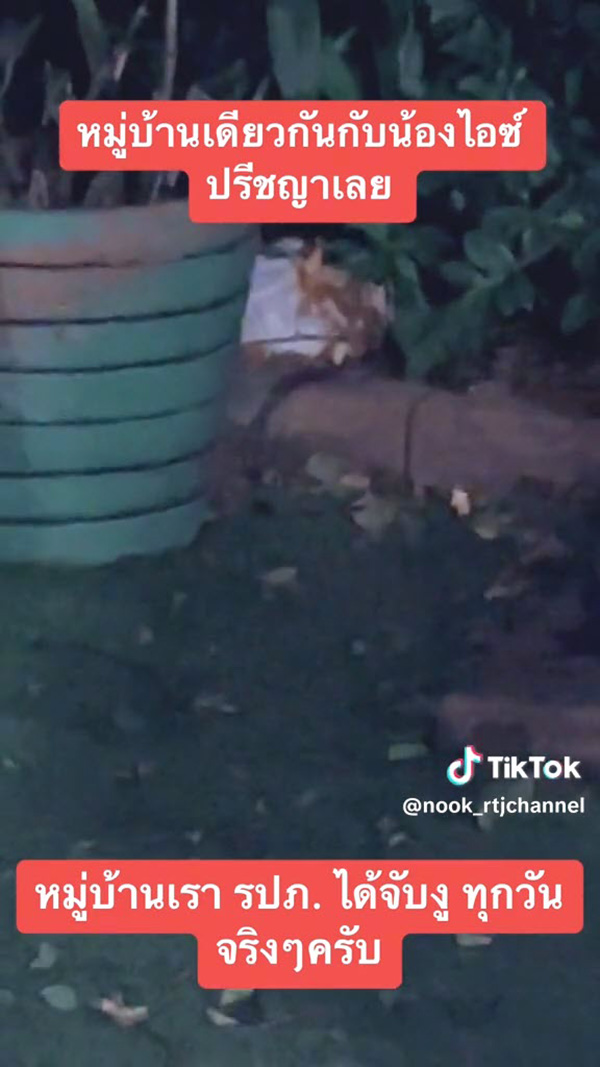 หมู่บ้าน ไอซ์ ปรีชญา งูเยอะจริงไม่จกตา หมู่บ้าน ไอซ์ ปรีชญา งูเยอะจริงไม่จกตา