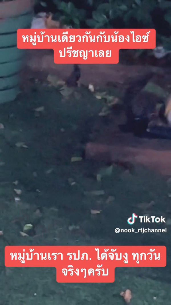 หมู่บ้าน ไอซ์ ปรีชญา งูเยอะจริงไม่จกตา หมู่บ้าน ไอซ์ ปรีชญา งูเยอะจริงไม่จกตา