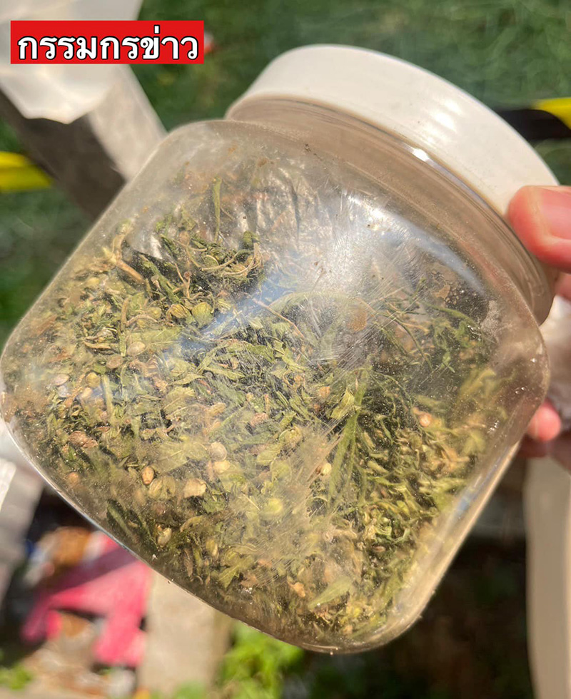 บุกตรวจบ้าน สารวัตรกานต์ ตำรวจคลั่ง พบกัญชาอัดแท่ง บุกตรวจบ้าน สารวัตรกานต์ ตำรวจคลั่ง พบกัญชาอัดแท่ง