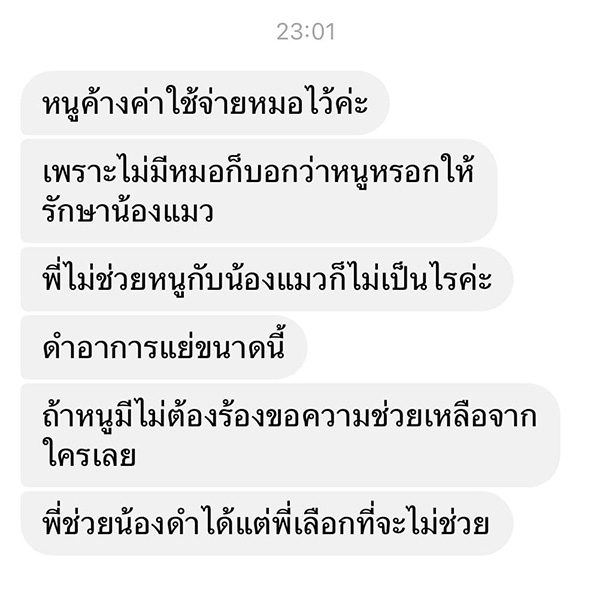แชต แชต