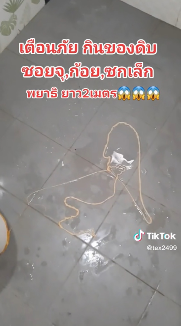 เตือนสายกินดิบ สาวกซอยจุ๊ เตือนสายกินดิบ สาวกซอยจุ๊