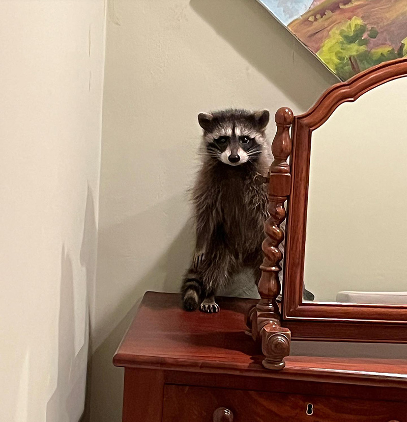 ผู้บุกรุก นั่งตาใส ผู้บุกรุก นั่งตาใส