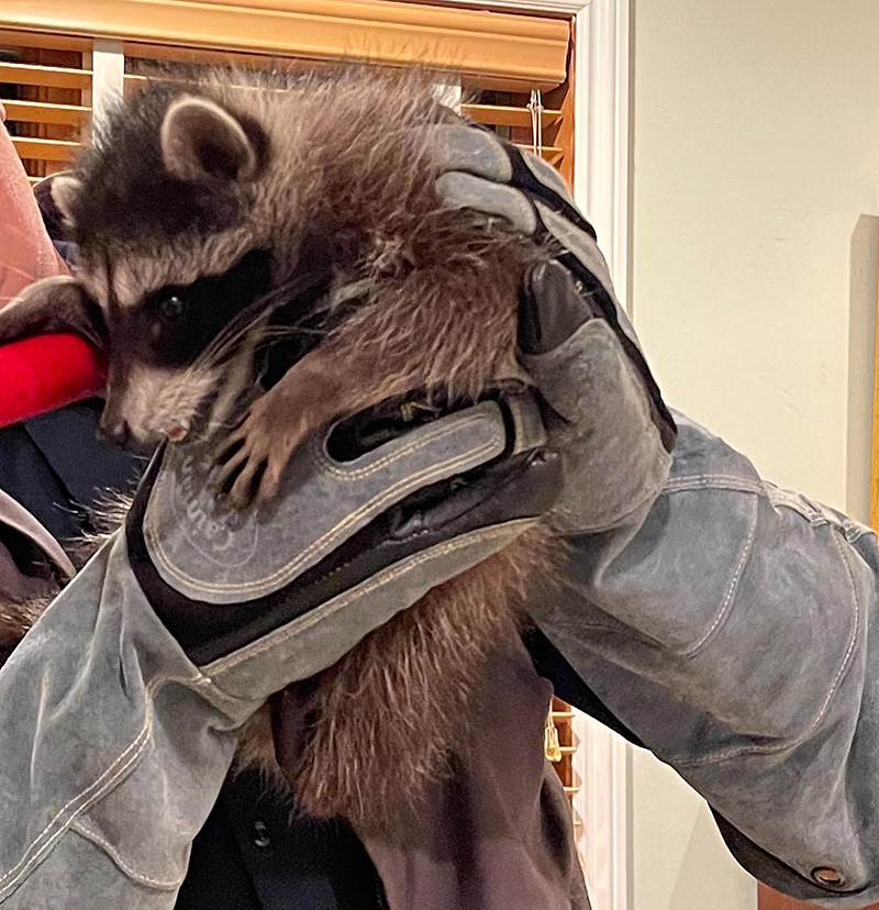 ผู้บุกรุก นั่งตาใส ผู้บุกรุก นั่งตาใส