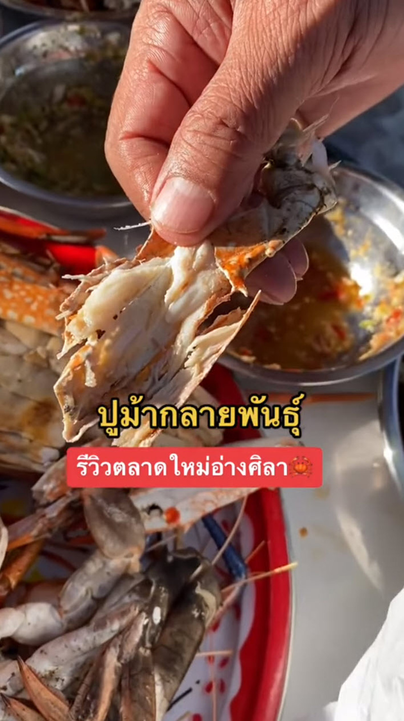 คอมเมนต์ คอมเมนต์